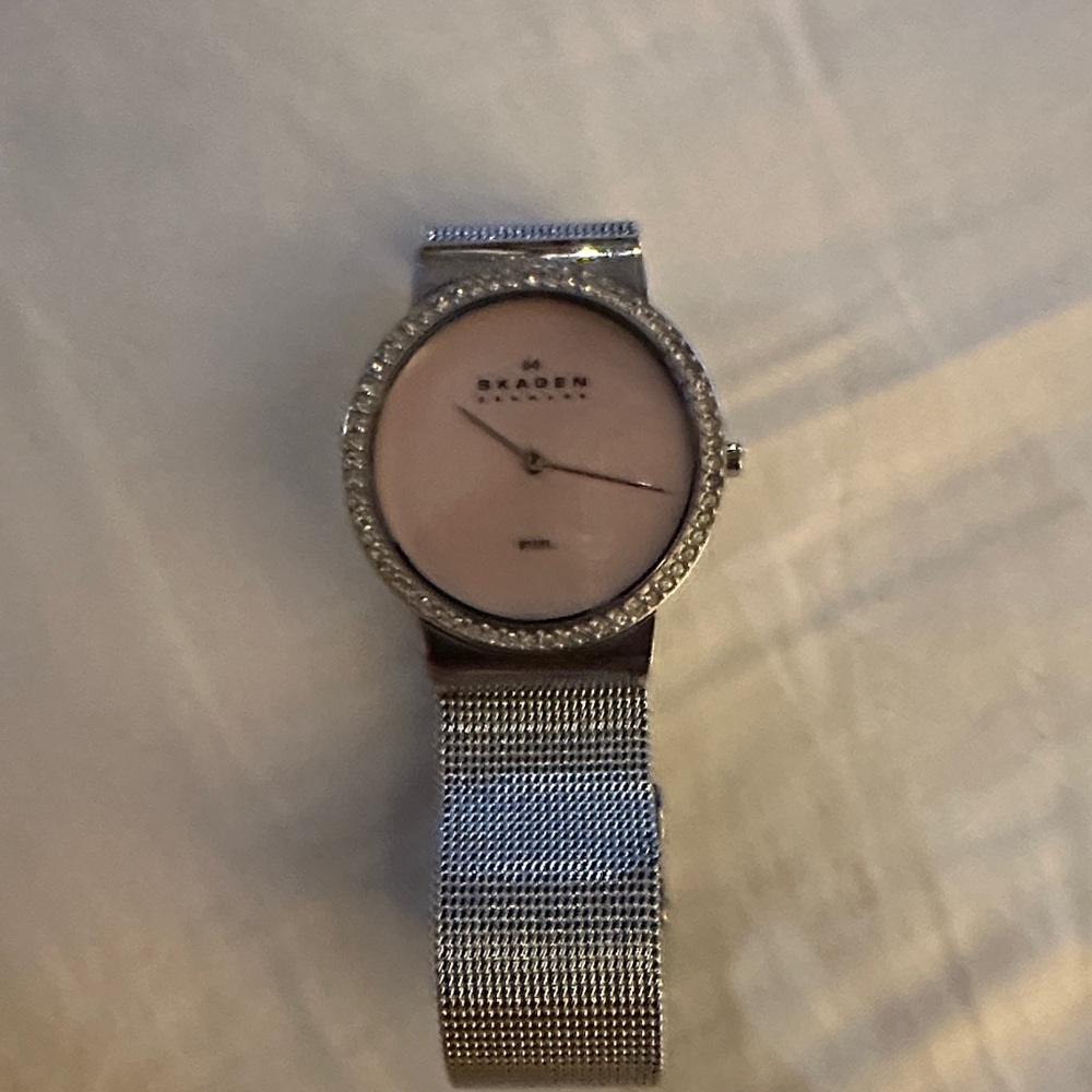 Skagen Silver Mesh Watch with Pink Face